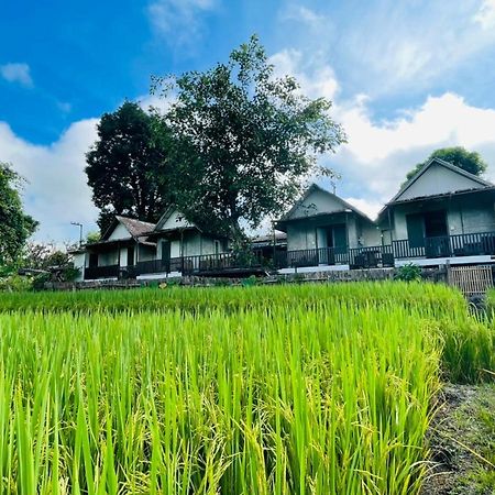 Krathom Doi Luang Otel Chiang Dao Dış mekan fotoğraf