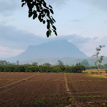 Krathom Doi Luang Otel Chiang Dao Dış mekan fotoğraf