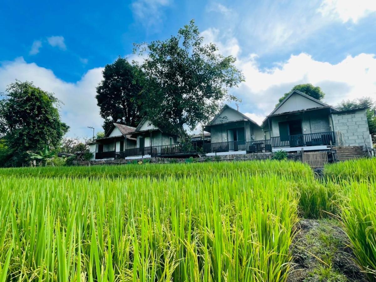 Krathom Doi Luang Otel Chiang Dao Dış mekan fotoğraf