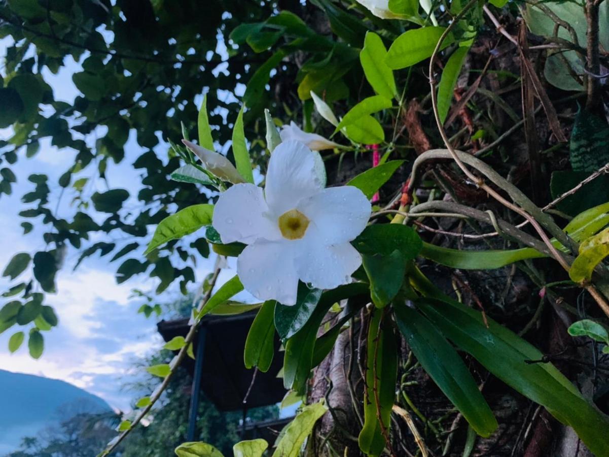 Krathom Doi Luang Otel Chiang Dao Dış mekan fotoğraf