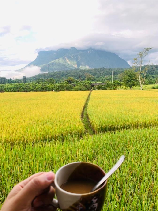 Krathom Doi Luang Otel Chiang Dao Dış mekan fotoğraf