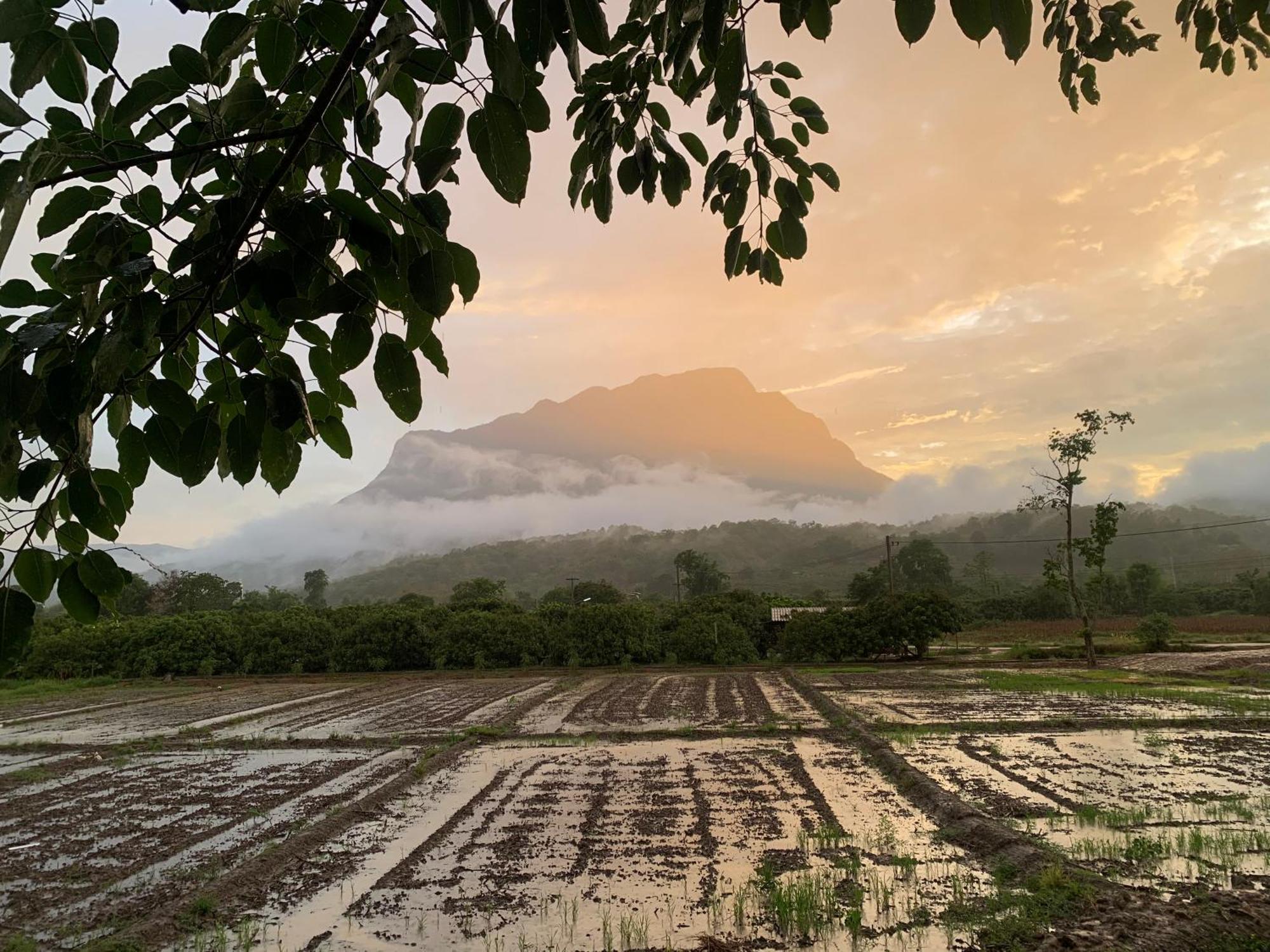 Krathom Doi Luang Otel Chiang Dao Dış mekan fotoğraf